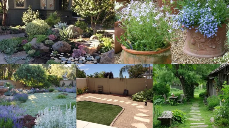20+ Genius No Grass Backyard Ideas Beautifully Low Maintenan