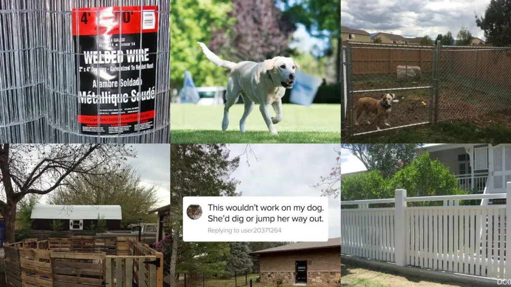 20+ Genius Dog Fence Ideas That Transform Any Yard