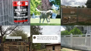 20+ Genius Dog Fence Ideas That Transform Any Yard