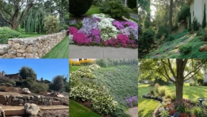 20+ Stunning Hill Landscaping Ideas That Transform