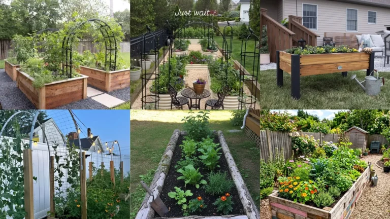 20 Raised Bed Gardening Ideas With Pretty Paths, Arches and Flowers